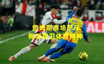 詹姆斯赛场怒斥侮辱捍卫体育精神