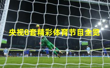 央视8套精彩体育节目全览